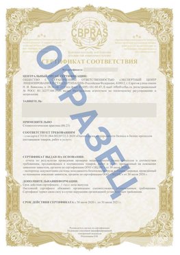 Образец Сертификат СТО 01.064.00220722.2-2020 Лениногорск Сертификат СТО 01.064.00220722.2-2020 